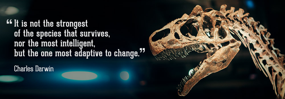 Featured image for “Your Customers Are Evolving. How Are You Evolving With Them?”