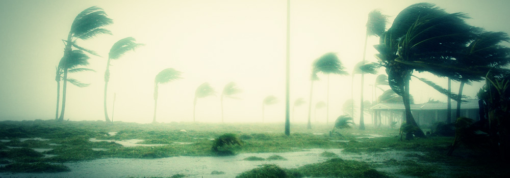 Featured image for “External Influences”