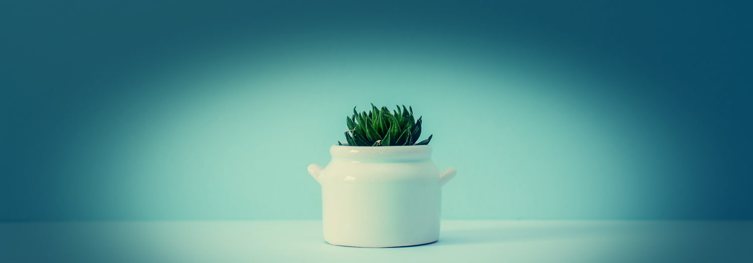 Featured image for “Keeping Your Business Communications Simple”