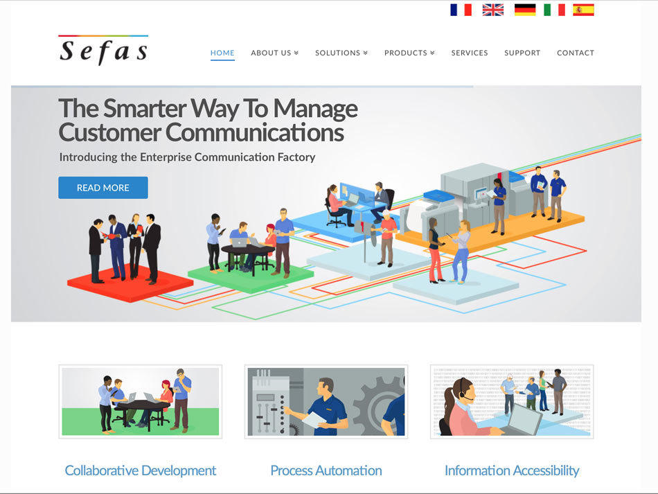 software developer website design