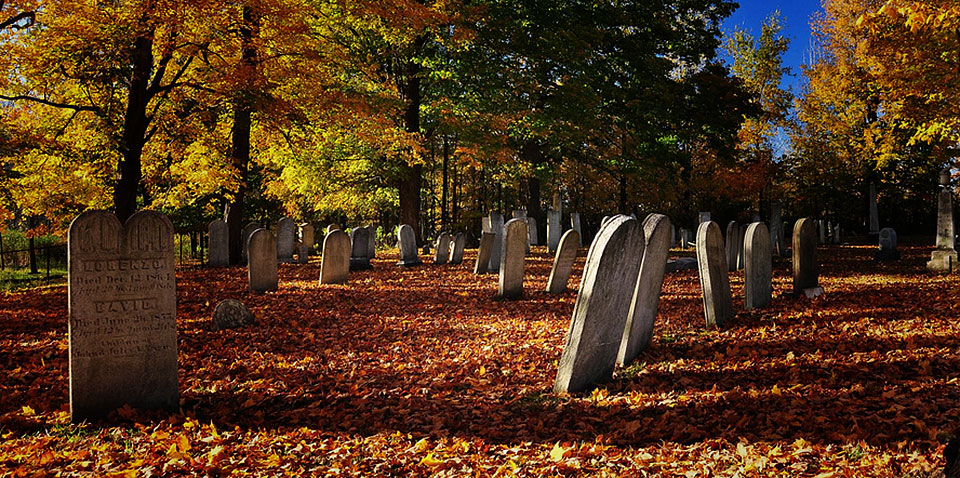 Featured image for “Sorry, HBR. Marketing is most certainly NOT dead.”